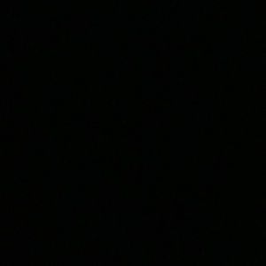 Meet your Posher, Jeannie